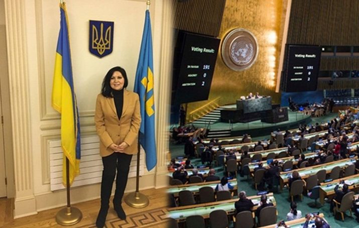 Ayla Bakkallı: BMGK’daki toplantılar, Kırım mücadelesinin duyurulması için çok önemli