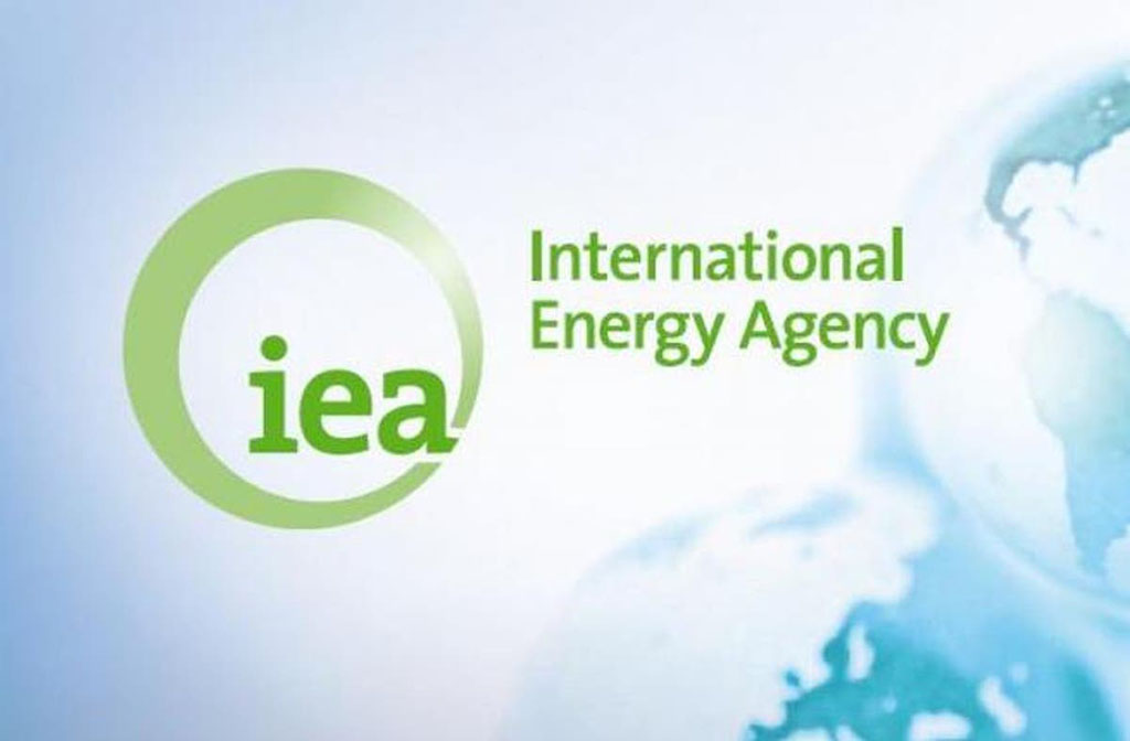 Türkmenistan ile Uluslararası Enerji Ajansı arasında online toplantı